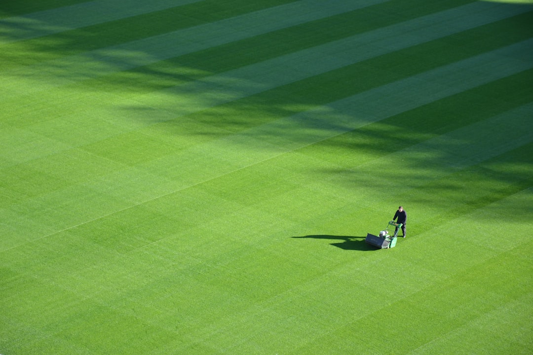 Revitalize Your Lawn with Grass Paint